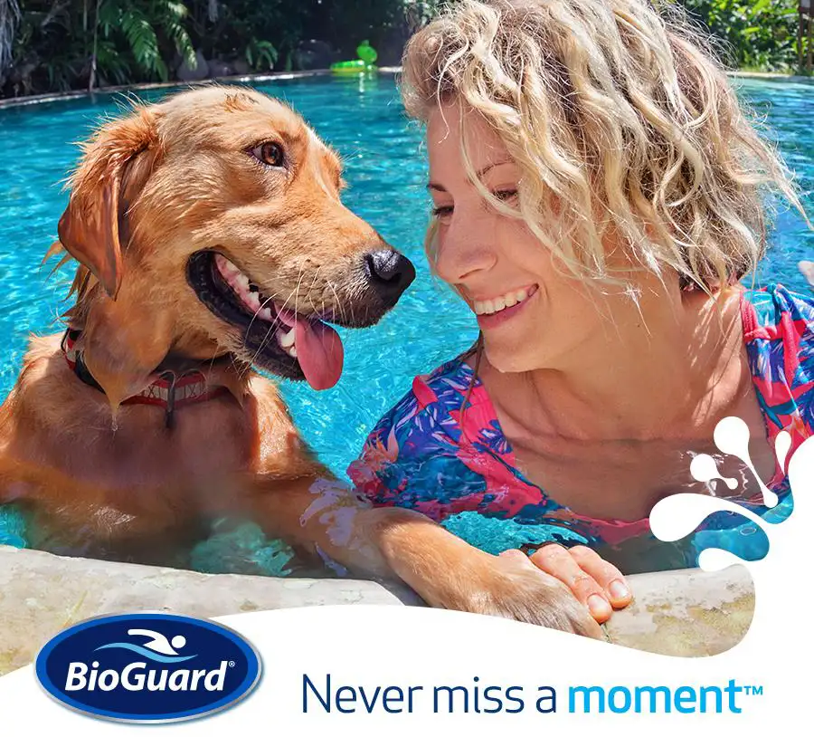 BioGuard ad, blonde woman enjoying pool with golden retriever dog, swimming - Decatur, IL